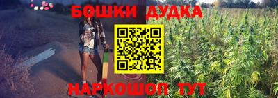 гидропоника Будённовск