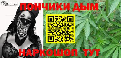 гидропоника Будённовск