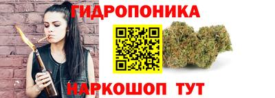 гидропоника Будённовск