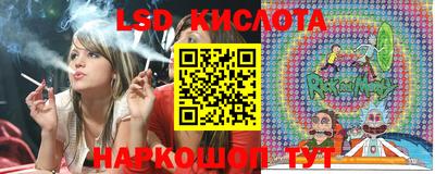 гидропоника Будённовск
