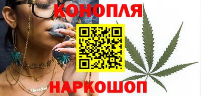 гидропоника Будённовск