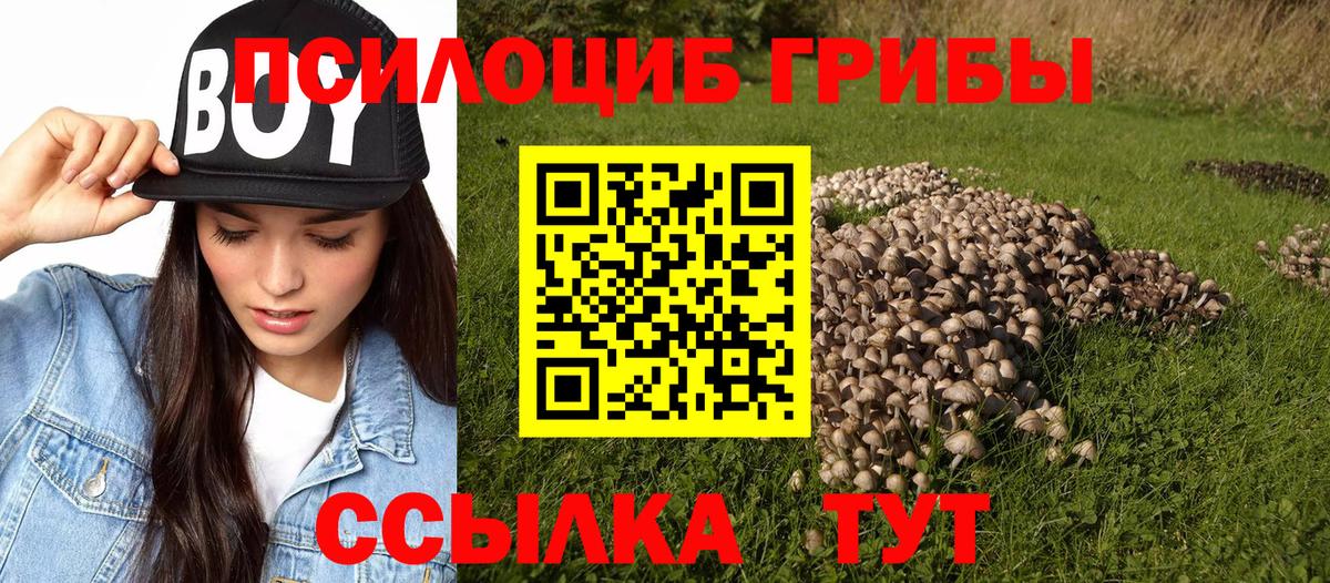 Галлюциногенные грибы прущие грибы Славянск-на-Кубани