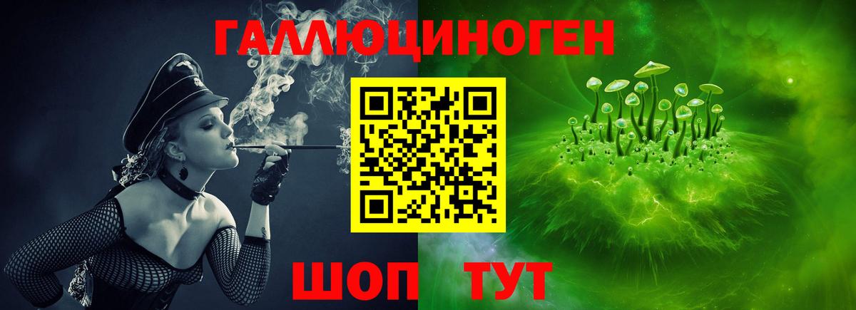 Псилоцибиновые грибы прущие грибы  Вход с VPN  Славянск-на-Кубани  хочу   Галлюциногенные грибы Psilocybe 